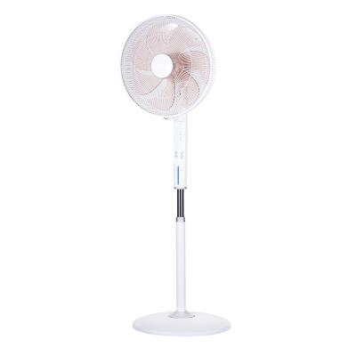 China China Supplier Wide Angle Horizontal Electric Fan Three Modern Swing Speeds Standing Fan With Timer for sale