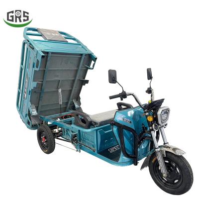 China Convenience Haul Electric Transport Three Wheel Motorcycle Cargo Tricycle Three Wheels For Adult for sale