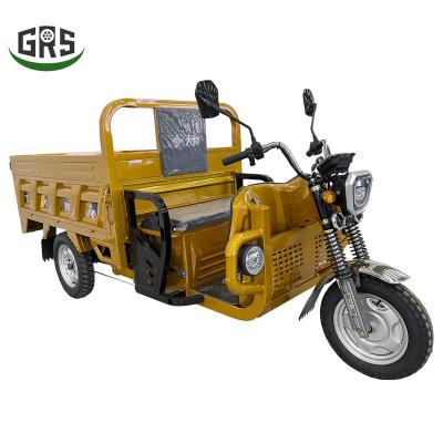 China Popular China Mountain Earth 3 Wheeler E-loader Cargo Delivery Electric Tricycle Customized for sale