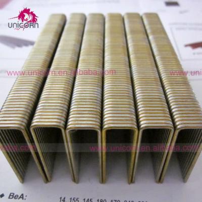 China Steel N Staples Series Galvanized 38mm for sale