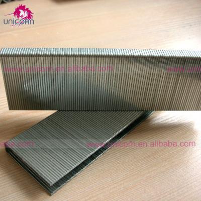 China Galvanized/SS304 18GA 92 STAPLES SERIES for sale