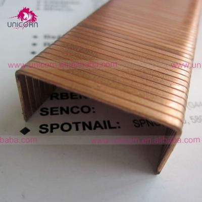 China 35 steel copper staples for sale