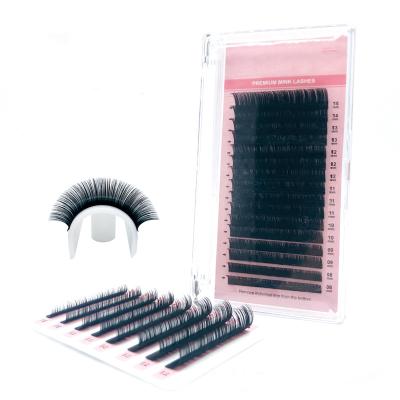 China Good Quality Mixed SARA Eyelashes 16lines 8_15mm Loop Eyelash Extension 100__yythk 0.03mm 0.05mm 0.07mm 0.10mm 0.15mm 0.20mm C D for sale