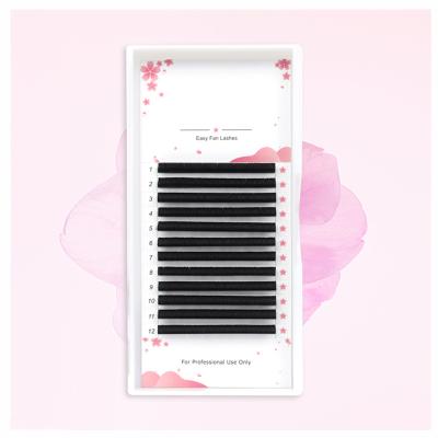 China Good Quality Easy Fan Lash Individual Lash Makeup Mink Multi Volume Lash Extensions Dual Density Faux Eyelash Extension C cc D Auto Flower Eyelash for sale