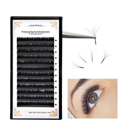 China Good Quality Professional Manufacturer Girls Eyelash Extension Light Blooming Lash Matte Volume Lash Lashes Medium Volume for sale