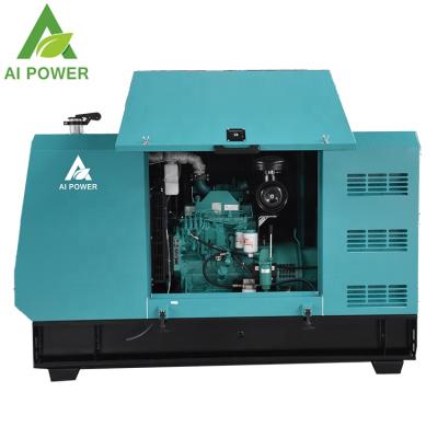 China 10 KVA Water Cooled Diesel Generator Power By Yangdong Diesel Engine AYD11 for sale