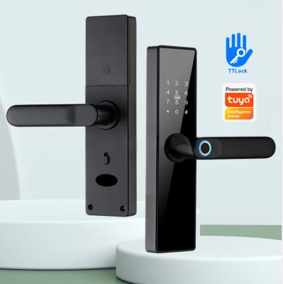 China Tuya APP Face Recognition Built in Camera with Keys Security Electric Digital Lock Smart Locks New Phone Body Fingerprint Steel LY07 for sale