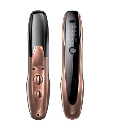 China Tuya APP Face Recognition Built in Camera with Keys Security Electric Digital Lock Smart Locks New Phone Body Fingerprint Steel LY30 for sale