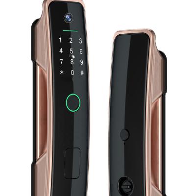 China Security Smart Electronic Door Locks Finger Print Lock Inteligente Door Pull Push Smart lock LY29A for sale