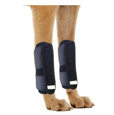 China OEM Viable Hondenbeenbrace Soft Canine Dog Canine Leg Hock Joint Brace Back Compression Wrap To Prevent Injury Sprains Dog Leg Brace for sale