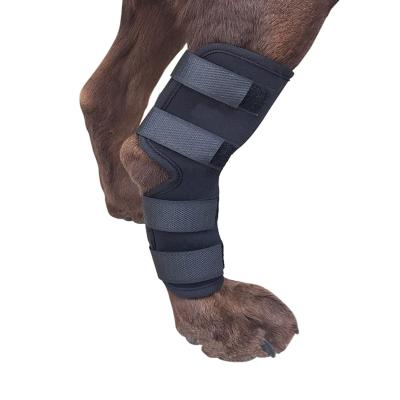 China OEM Viable Dog Leg Splint Rhinestone Leg Joint Wrap Compression Canine Dog Leg Back Brace For Protects Wraps From Arthritis for sale