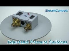 Dual Adjustable Pressure Switches SPDT Micro Stainless Steel -20 - 120 Degree