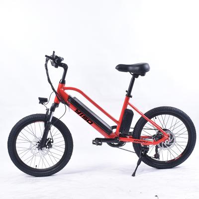 China Aluminum alloy 20 inch helper lithium ion battery for e-bike/e motor bike for sale