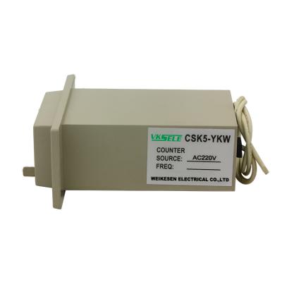 China Electromagnetic Electrical Machinery CSK5-YKW 5 Digit Meter DC12V 24V AC110V 220V Display for sale