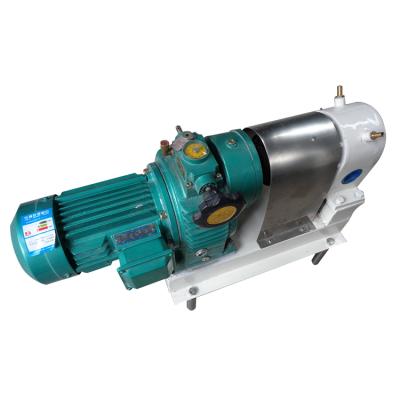 China SJB32 Food and Beverage Factory Chocolate Gear Pump Food Grade Transfer Pump Chocolate Delivery Pump for sale