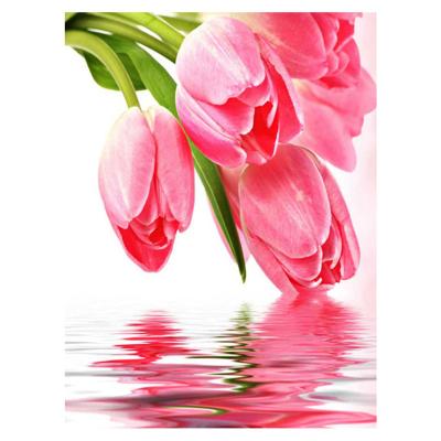 China Dropshipping Low MOQ Diy Single Cross Stitch Tulip Painting Europe Home Decoration Embroidery Children Material Handmade Cross Stitch Kits for sale