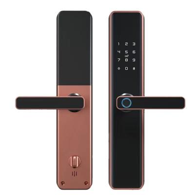 China Smart home apartment lock smart lock wifi smart door lock for sale