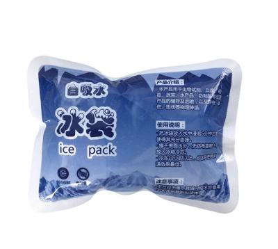 China Super Food Absorb Water Ice Pack Dry Ice Packs Cooler Box Ice Pack For Food Delivery for sale