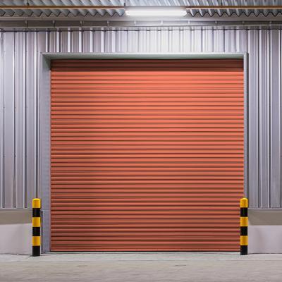 China High Security Aluminum Alloy Electric Roller Door And Manual Roller Door for sale