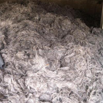 China Yarn.felt scoured goat hair goat cut wool for sale