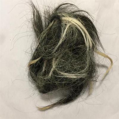 China Yarn.felt scoured chinese gray goat hair cut for sale