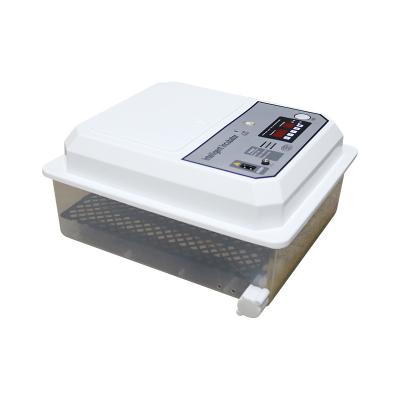 China Intelligent Control Easy Egg Incubator 12 Months Full Automatic For Hatching Eggs for sale