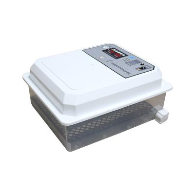 China Mini Automatic Egg Incubator Easy 12 Volt Battery Egg Hatching Machine Price for sale