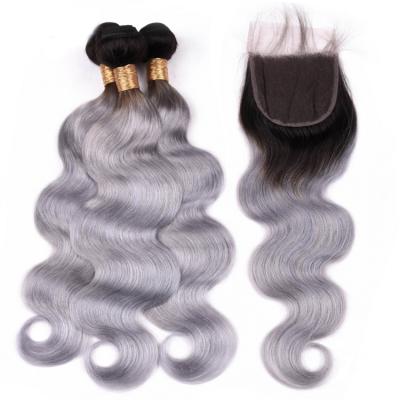 China Cheap Raw Brazilian Virgin Remy Hair Natural Wave Silver And Gray for sale