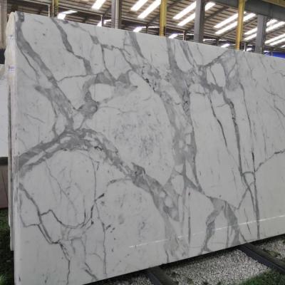 China Modern Polished And Honed Cut Sizes , White Calcatta Marble Large Slabs , Italy Calacatta White Marble for sale