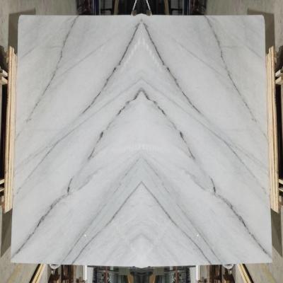 China Best Price Modern White Marble Tile Dark Gray Veins Colombia White Floor Tiles for sale