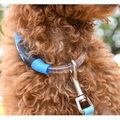 China Accesorios Novedosos Pet Supplier Rechargeable LED Flashing Dog Collar Lights for sale