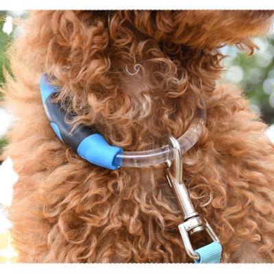 China Lights led dog collar light collar makes your dog visible and safe for sale