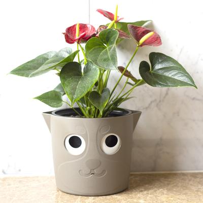 China flow mark & Self Watering Self Watering Plastic Planter Pot For Indoor Decoration for sale