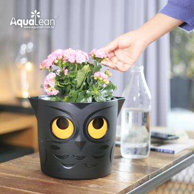 China flow mark & Self Watering Aqualean 2021 Hot Selling Owl Type Self Watering Planter for sale