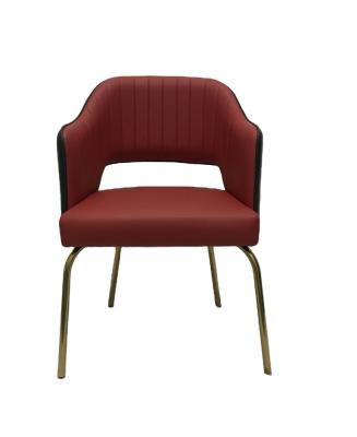 China Modern Modern Design Comfortable Velvet Dining Chair With Metal Frame For Home Furniture Dining Chair Set for sale