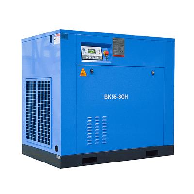 China First class power frequency industry screw air compressor small oil free lubricated screw air compressor for sale