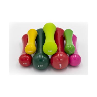 China 2021 Hot Products 0.5KG 1KG 2KG 3KG Durable Cheap Weight Gym Equipment Women Kids Dumbbells for sale