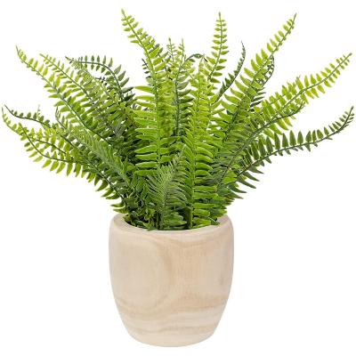 China Wholesale High Quality Eco-Friendly Custom Green Plants Faux Faux Greenery Ferns For Home Decor for sale