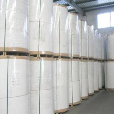 China Jumbo POS Printer ATM Receipt Paper Thermal POS Receipt Receipt Paper Jumbo Rolls for sale