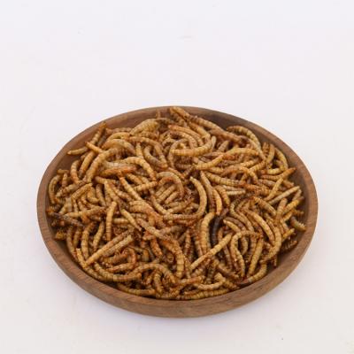 China Wholesale Viable High Quality Dry Mealworm Animal Snack Protein Dry Mealworm for sale