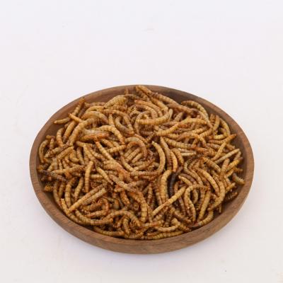 China Viable Bulk Natural High Protein Dry Pet Food Mealworms for sale