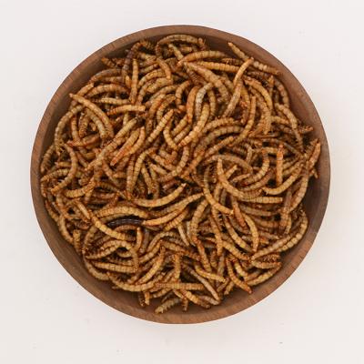 China Wholesale High Quality Viable Bulk Dried Pet Food Mealworms for sale