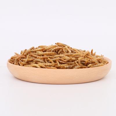 China Sustainable Plant High Quality Dried Tenebrio Pet Food Mealworm for sale