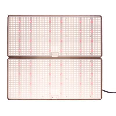 China Seed Starting Hydroponic Led Grow Lights To Grow Light 100W 200W 400W For Grow Tent Greenhouse Indoor Cultivation for sale