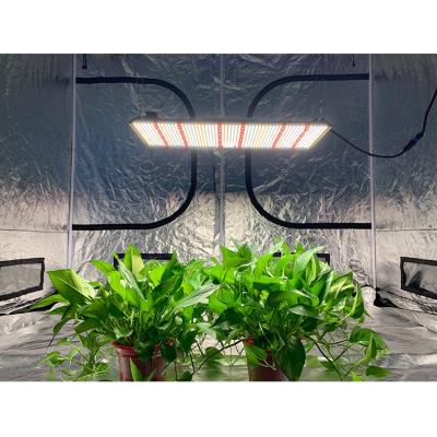 China 200W Full Spectrum Quantum Indoor Plant Controller Indoor Starting Seed Led Grow Light Board Led Board For Growing Light for sale