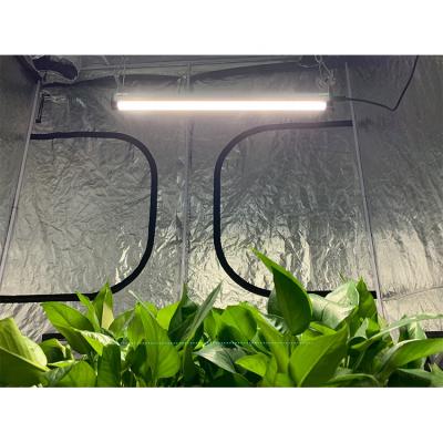 China seed starting Led to grow light bar t5 led to grow light tube to grow ppfd t5 light for sale