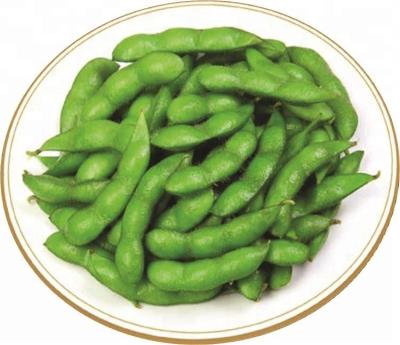 China Frozen green fresh delicious Japanese Edamame Soy Bean for sale