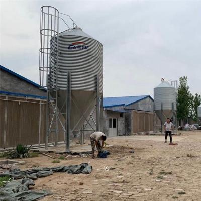 China 20T farms chicken farm feed silo price for sale