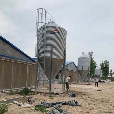 China Galvanized Feeding Farms GuoYu Poultry Silo for sale