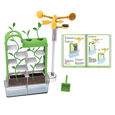 China Plastic YQ Plant Growth Garden Start Craft Kit STEM Science Activity Growing Kit for 6+ Kids for sale